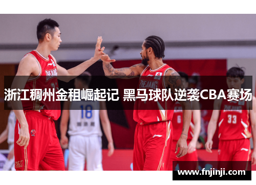 浙江稠州金租崛起记 黑马球队逆袭CBA赛场