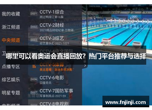 哪里可以看奥运会直播回放？热门平台推荐与选择